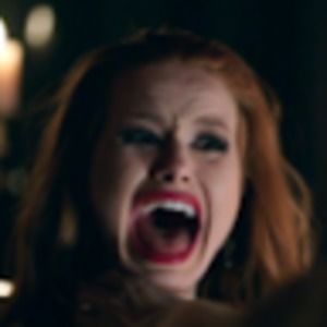 Meet your Posher, Hector